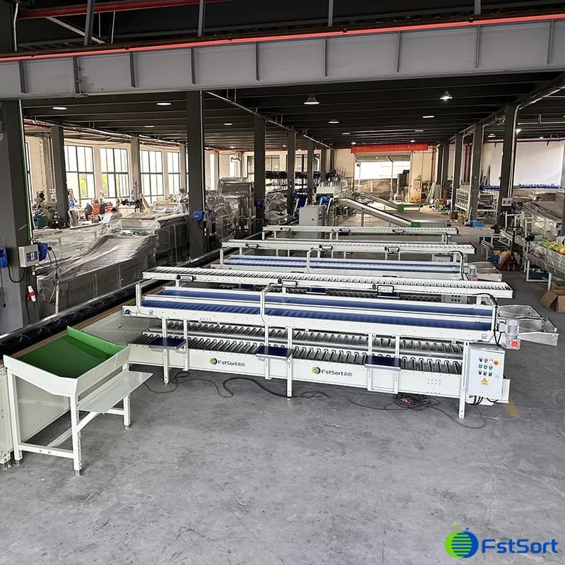 images/1666595934238grape grading machine.jpg